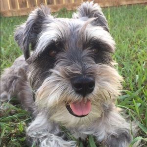 Meet your Posher, Skyler